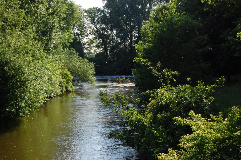 Die Erft nach dem Wehr bei Grevenbroich Neubrck. 5.6.2010