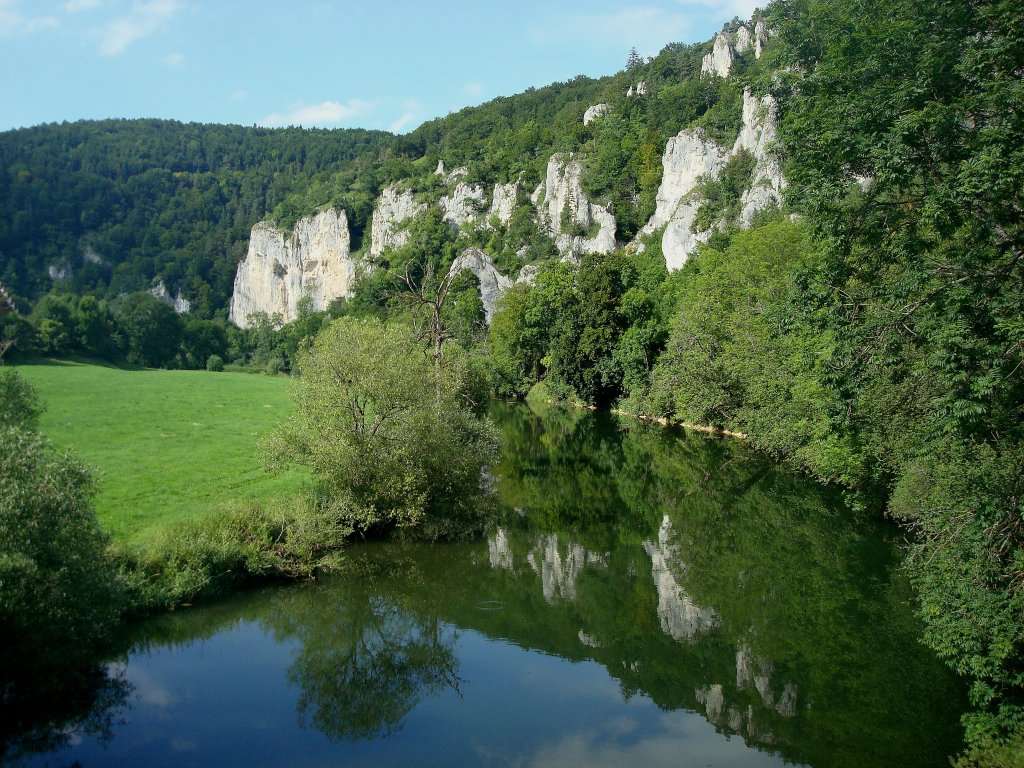 die junge Donau und die Schwbische Alb mit den typischen Kalkfelsen zwischen Beuron und Sigmaringen, Aug.2010