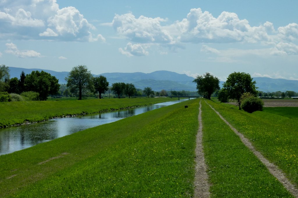 die kanalisierte Dreisam in der Rheinebene, im Hintergrnd der Schwarzwald, Mai 2012