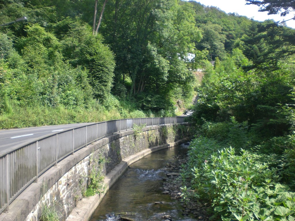 Die Kleine Fluss Eschbach in Solingen-Burg.(4.7.2012)