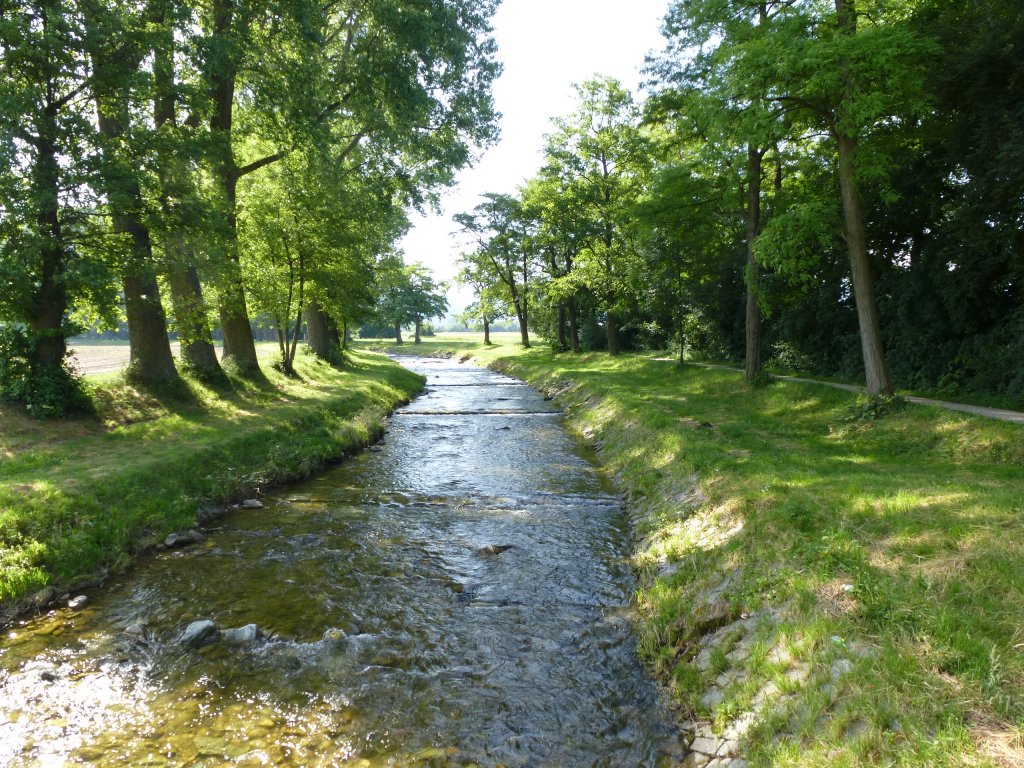 die Neumagen durchflie die Rheinebene nach Staufen, Juni 2013