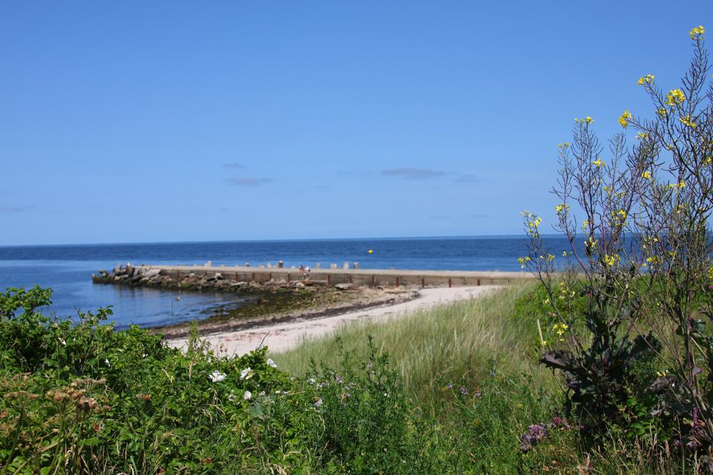 Die Nordseite der Insel Helgoland besteht aus dieser Landzunge, die damit eine
kleine Bucht bildet. Die Aufnahme entstand am 6.7.2013.