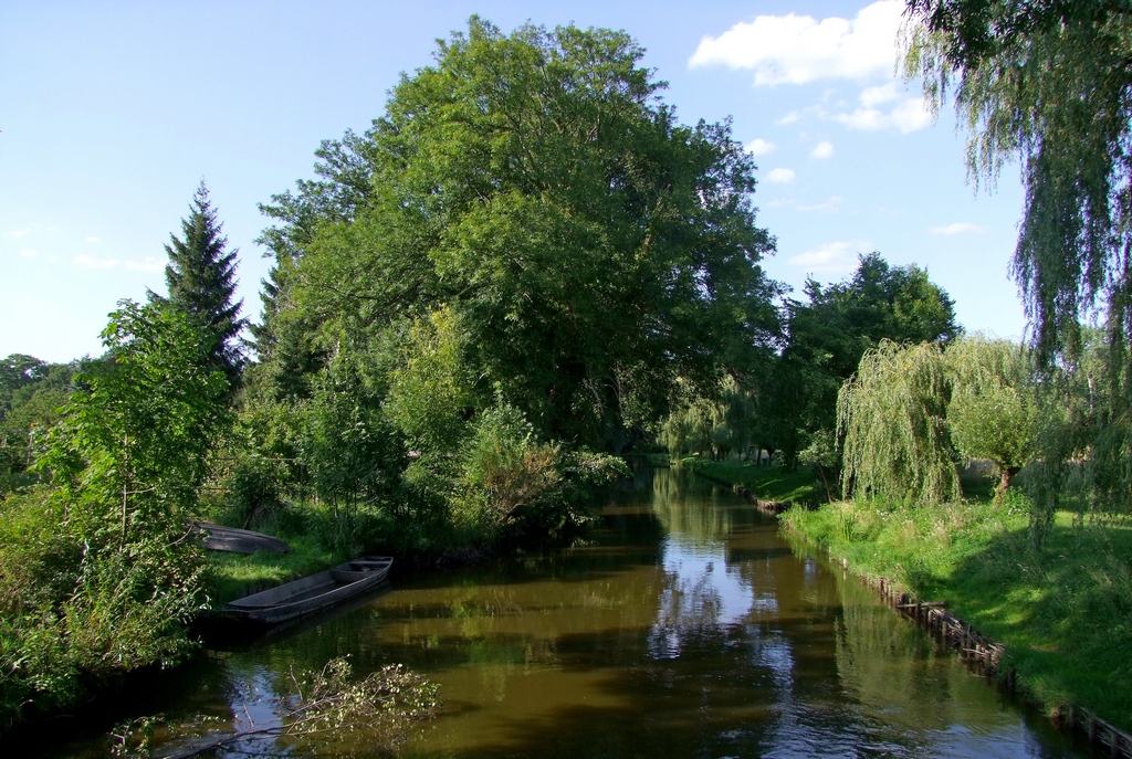 Die Nuthe bei Blankensee (Trebbin) 14.08.2012