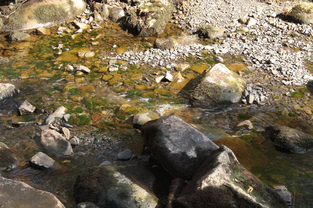 Die Oker, vom Wanderweg zwischen der  Verlobungsinsel  und Romkerhall aus gesehen; Aufnahme um die Mittagszeit des 07.04.2013...