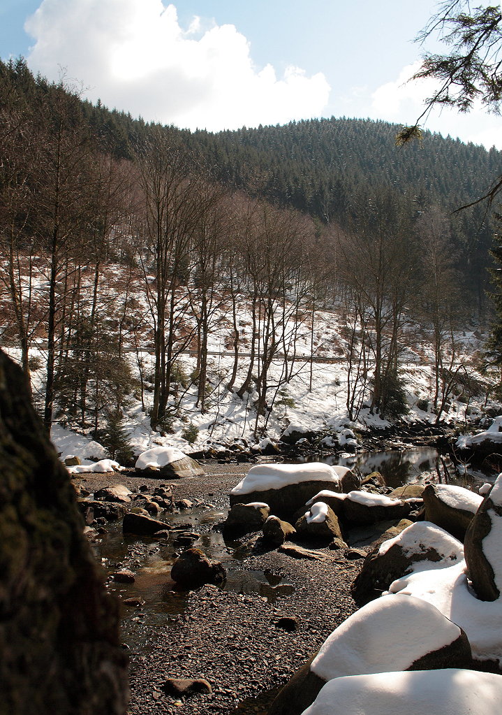 Die Oker zwischen Felsblcken und Bumen; Aufnahme um die Mittagszeit des 07.04.2013 auf dem Wanderweg entlang der Oker...