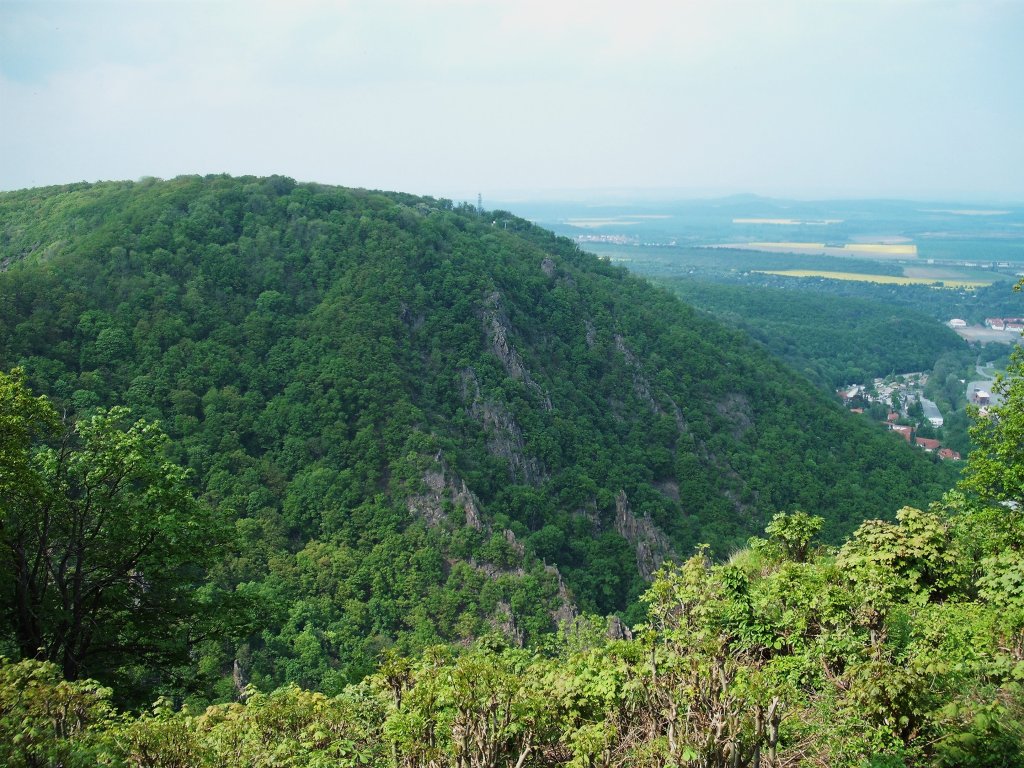 Die Rotrappe vom gegenberliegenden Hexentanzplatz aus gesehen.