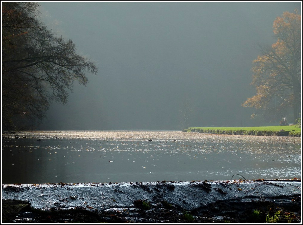 Die Sauer in der Nhe von Bourscheid Moulin am 06.11.2011. (Hans)