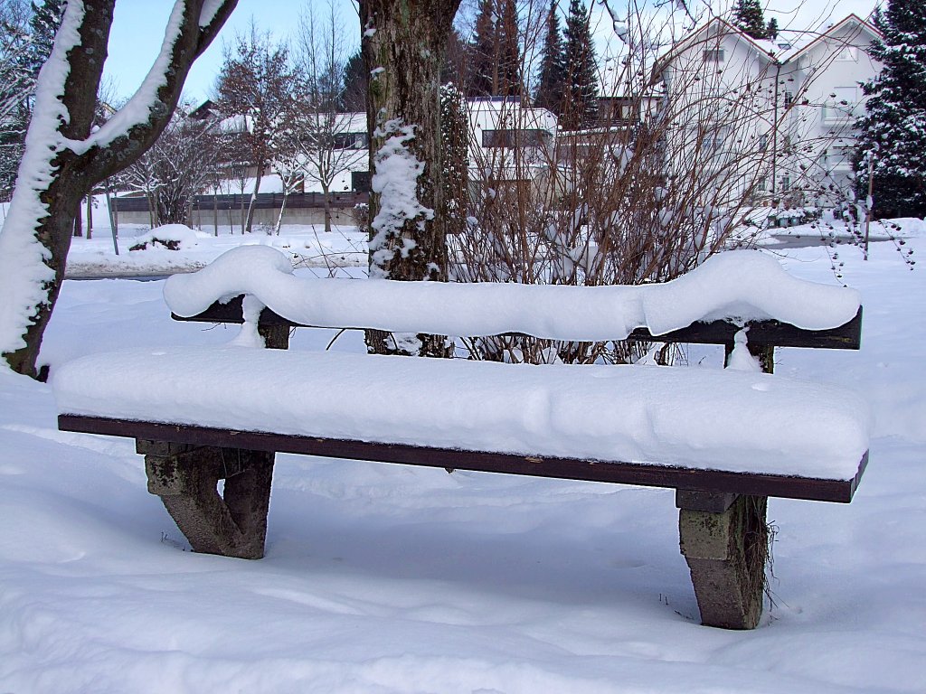 Die Schneebedeckte Parkbank ldt wohl nicht zu einer kleinen Rast ein;101218