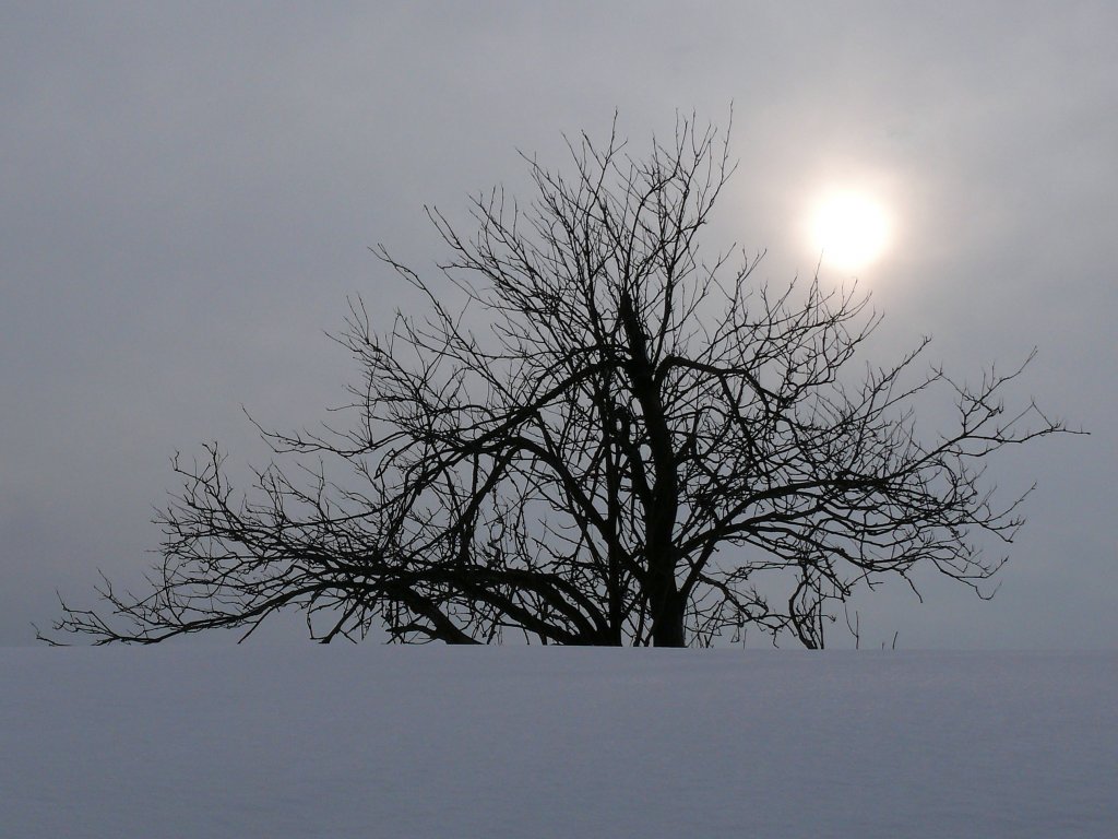 Die Sonne kmpft sich durch den wolkenverhangenen Himmel an einem Winternachmittag im Erzgebirge, 17.03.2010
