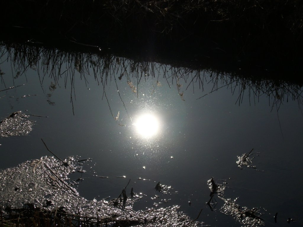 Die Sonne spiegelt sich in diesem kleinen Bchlein.