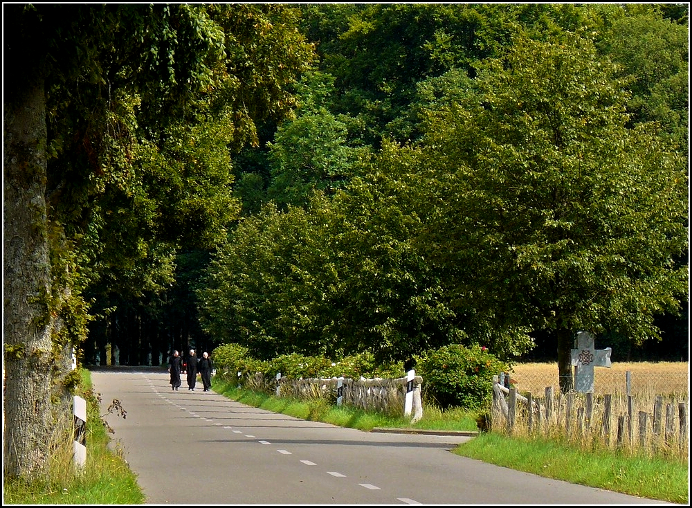 Diese Strae fhrt von Eselborn zur Benediktinerabtei St Maurice von Clervaux. 12.08.2010 (Hans)