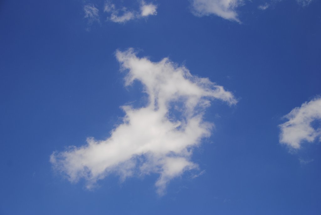 Diese Wolke konnte einen Spech darstellen. Aufnahme von 11.06.2010 in Lehrte.