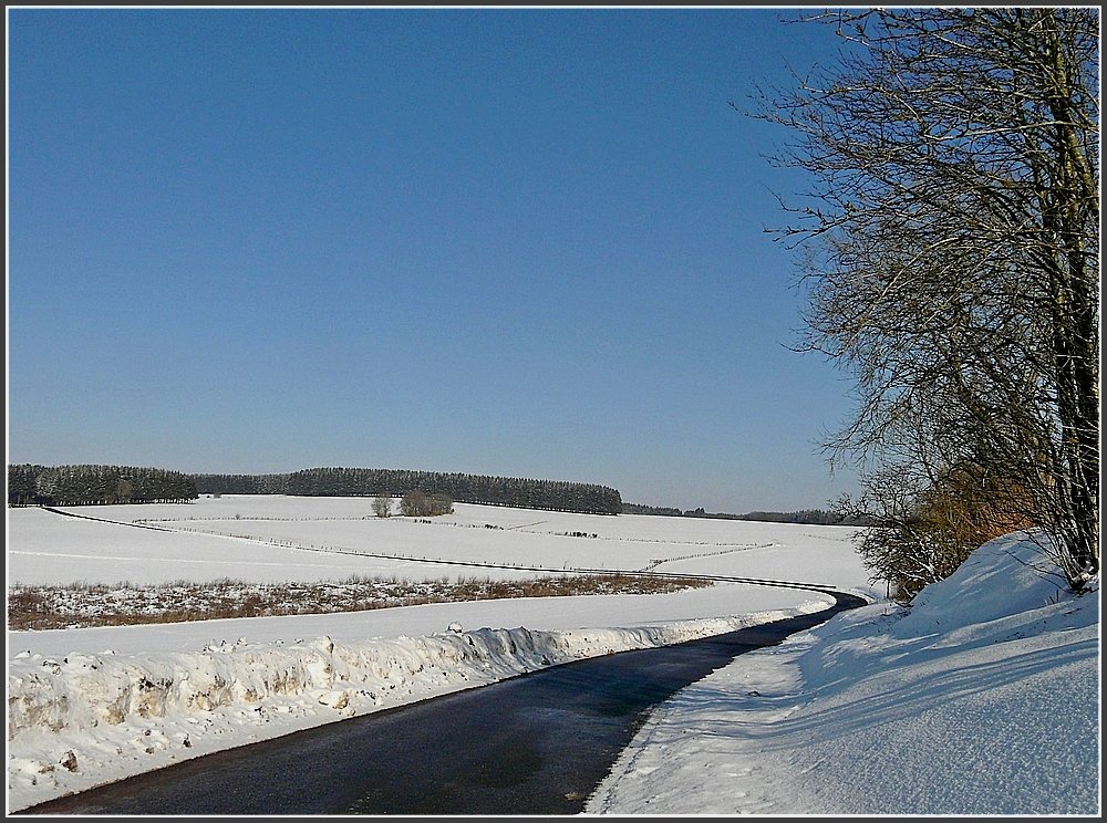 Dieser Weg fhrt von Hautbellain nach Gouvy (B). 16.02.10 (Jeanny)