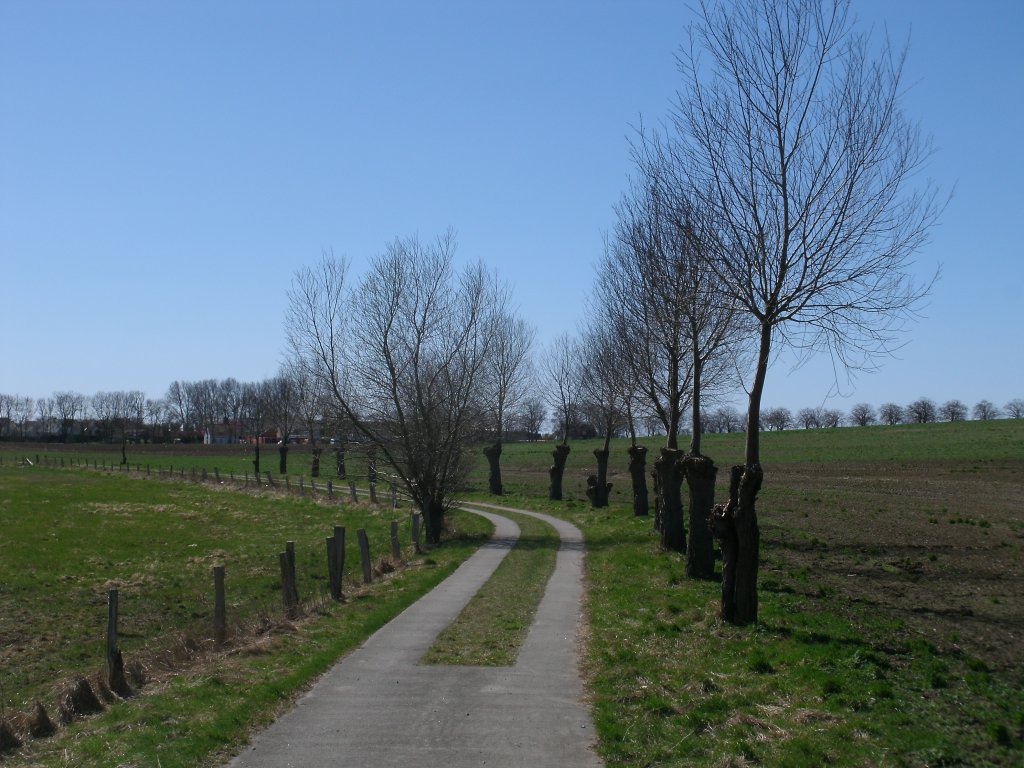 Dieser Weg fhrt knapp 5km um den Nonnensee bei Bergen/Rgen,den See kann man in gut einer Stunde zu Fu umrunden und ist autofrei ! Aufnahme vom 09.April 2011.