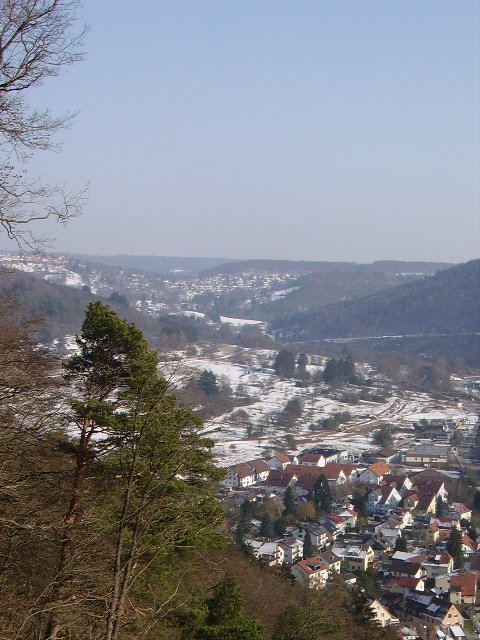 Dilsberg im Hintergrund bei Neckargemnd am 16.02.10