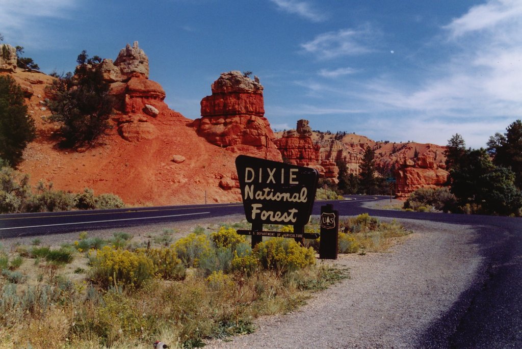 Dixie National Forest, Cedar Mountain, Utah (16.07.2006)