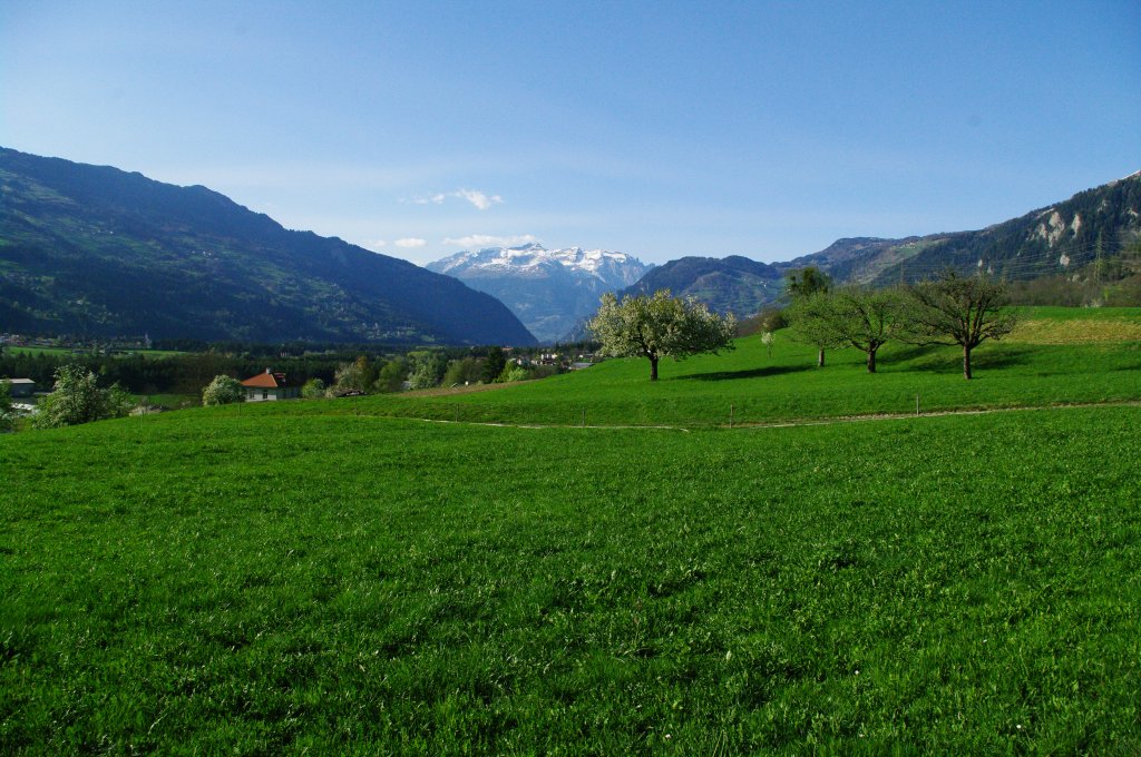 Domleschg Tal bei Sils (10.04.2011)