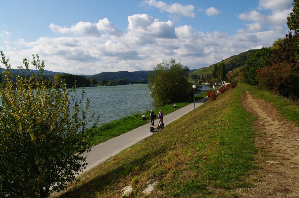Donau bei Stein (11.10.2009)