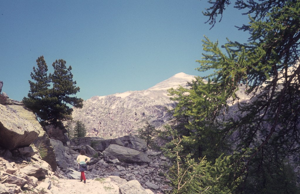 Dpartement Alpes-Maritimes am 2. Juli 1972: Die Landschaft in der Nhe vom Refuge des Marveilles.