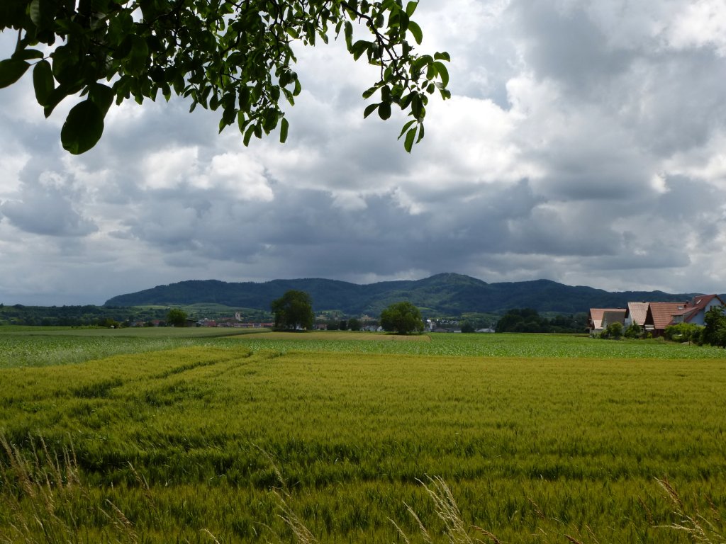dunkle Wolken über dem nördlichen Kaiserstuhl, Juni 2013