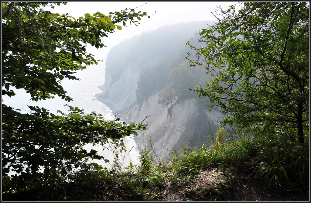 Durchblicke - 

Blick vom Hochuferweg der Seilküste Rügens auf die Kreidefelsen. 

26.08.2011 (J)