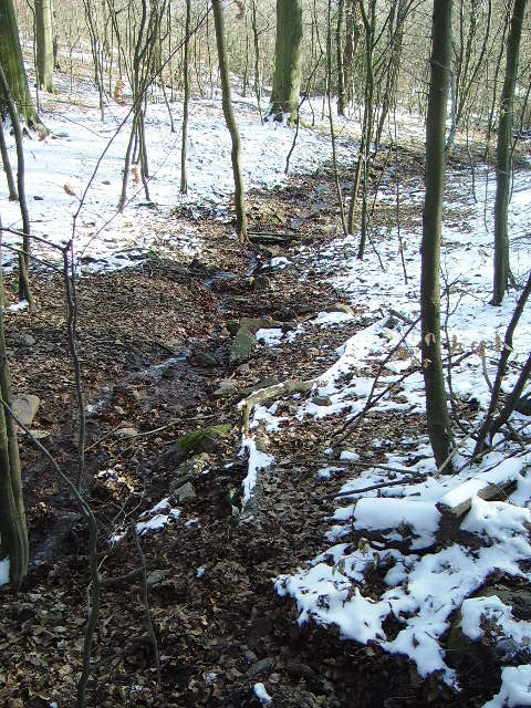 Ein Bach in der nhe von Kleingemnd am 16.02.10