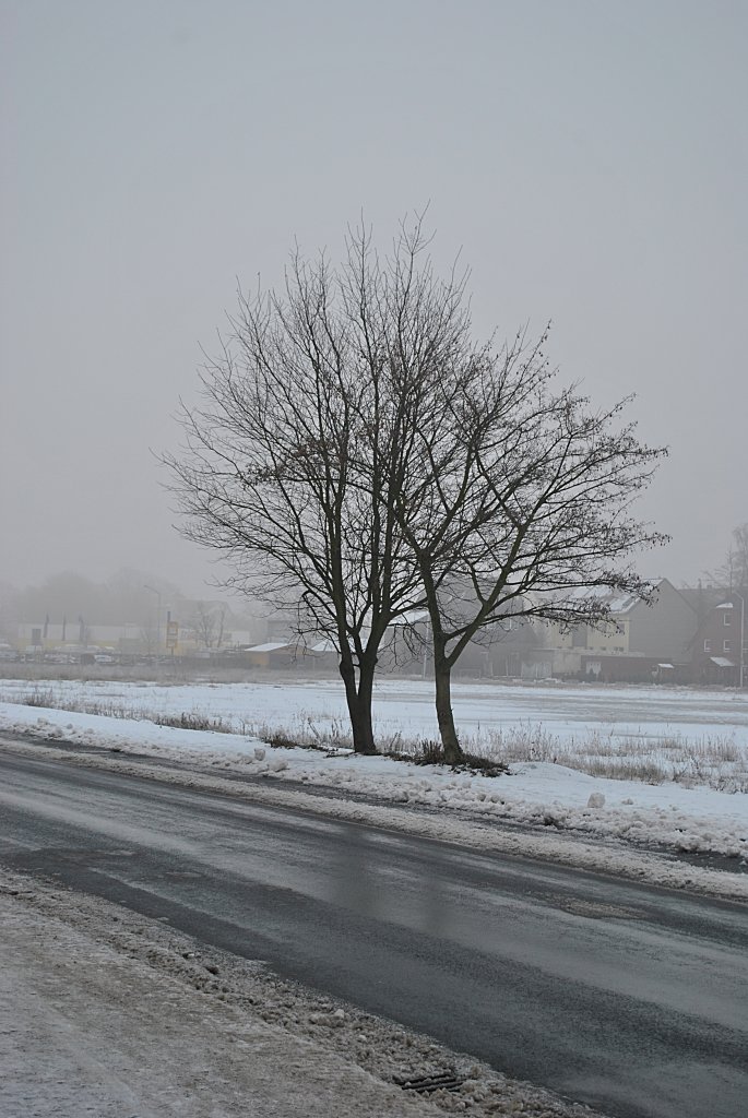 Ein Baum in Winter 2010 im Lehrte.