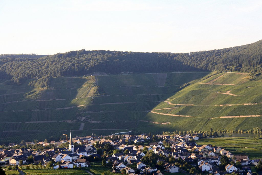 Ein Bilck ber Niederemmel an der Mosel bei Sonnenschein am 23.7.2012.