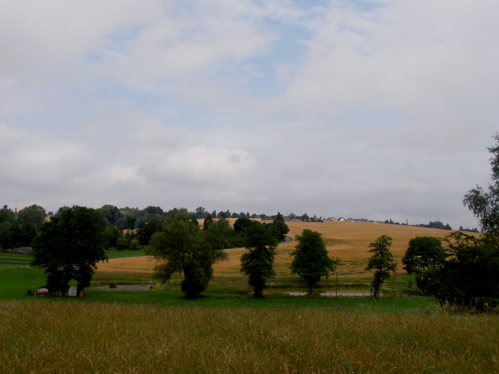 Ein Blick auf Zeulenroda Mrien. Foto 20.06.2012