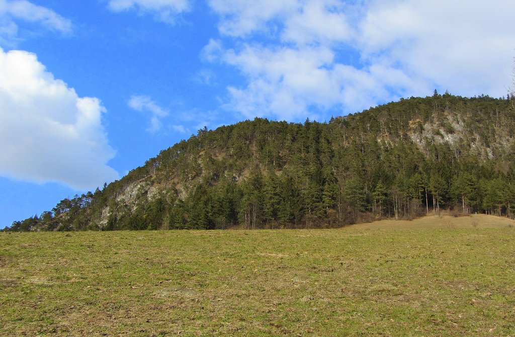 Ein von Fhrenbumen bewachsener Berg bei Brixlegg am 9.3.2012.