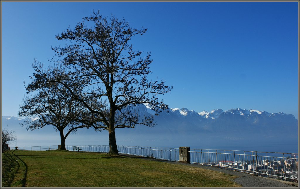 Ein kleiner Park bei der MOB Haltestelle Planchamp ldt im Frhjahr mit seiner Aussicht zum verweilen ein.
(15.03.2012)