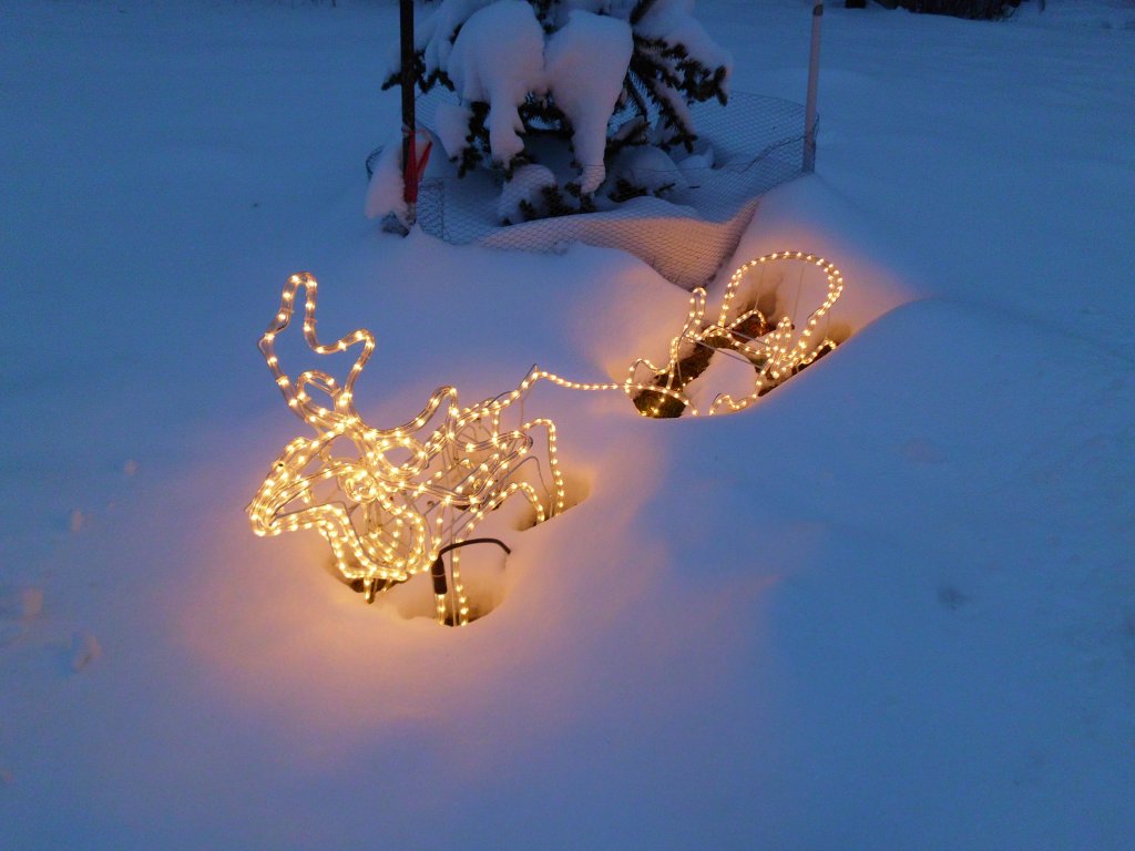 Ein kleiner Rentierschlitten im Schnee am 26.12.2010.