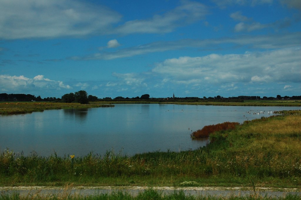Ein kleiner See bei Breskens der fr die Vogelwelt ein Paradies ist. 21.7.2012