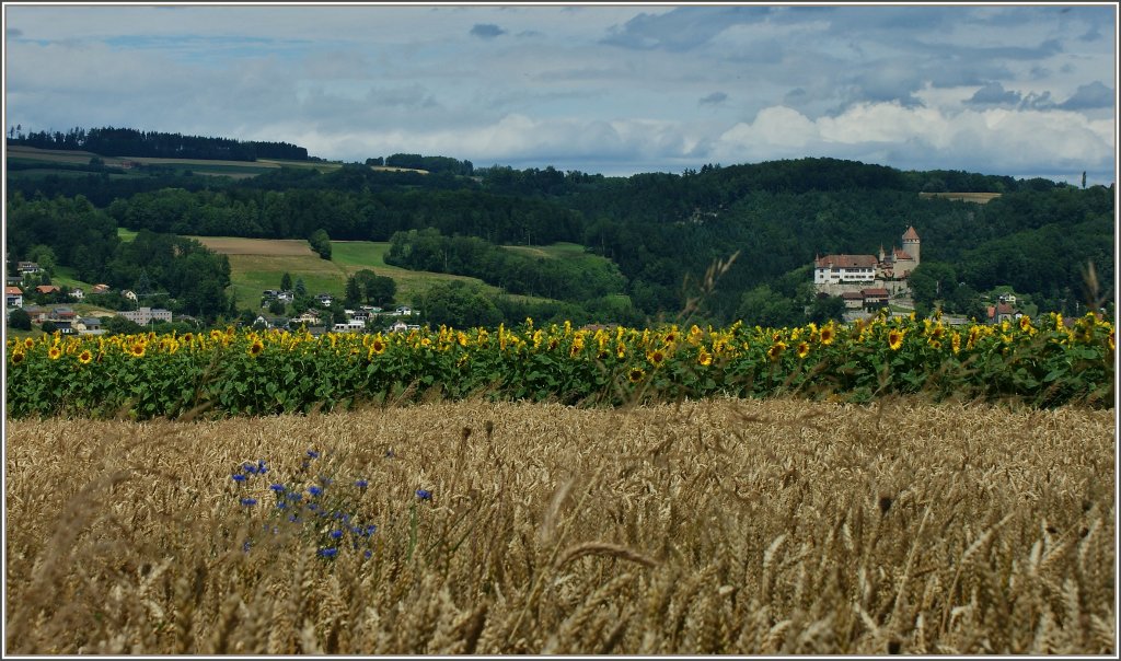 Ein kleines Strsschen bergauf bietet einen schnen Ausblick ber Korn-und Sonnenblumenfeld sowie das Schloss Lucens(13.Jahrhundert).
Das Schloss hat im Laufe der Jahrhunderte viel erlebt, wechselte mehrfach den Besitzer,und ist heute in Privatbesitz. 
(12.07.2012)