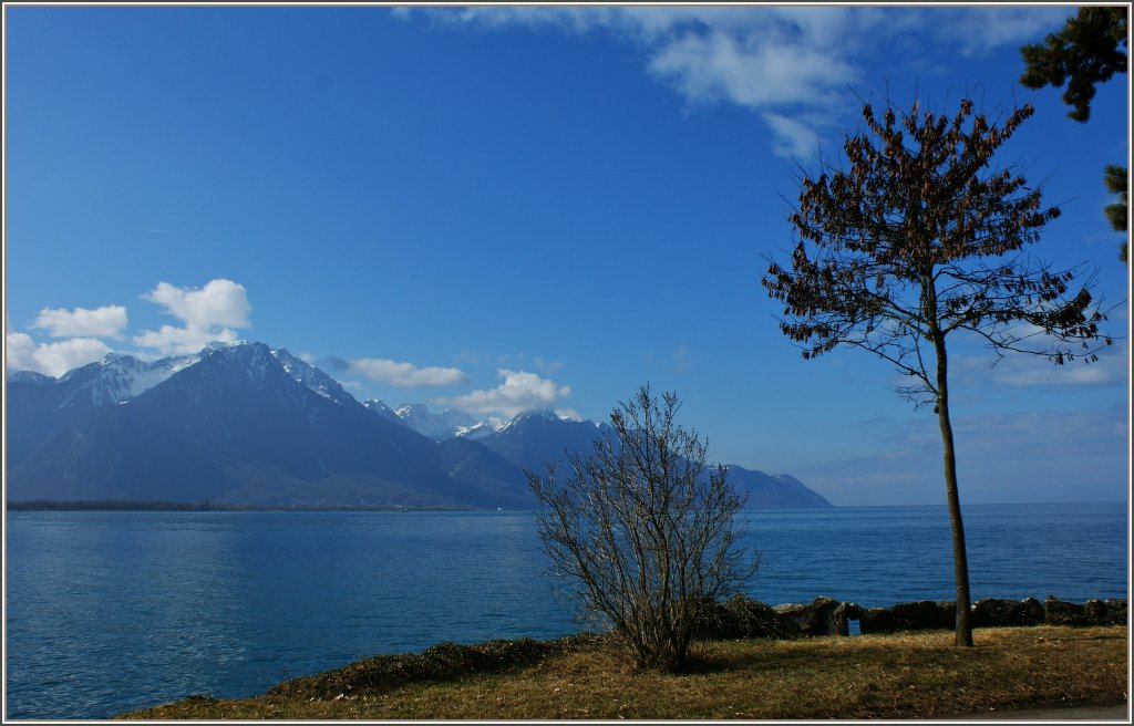 Ein khler Wind sorgte fr einen wolkenlosen Himmel und gab den Blick auf den Grammont frei.
(26.02.2012)