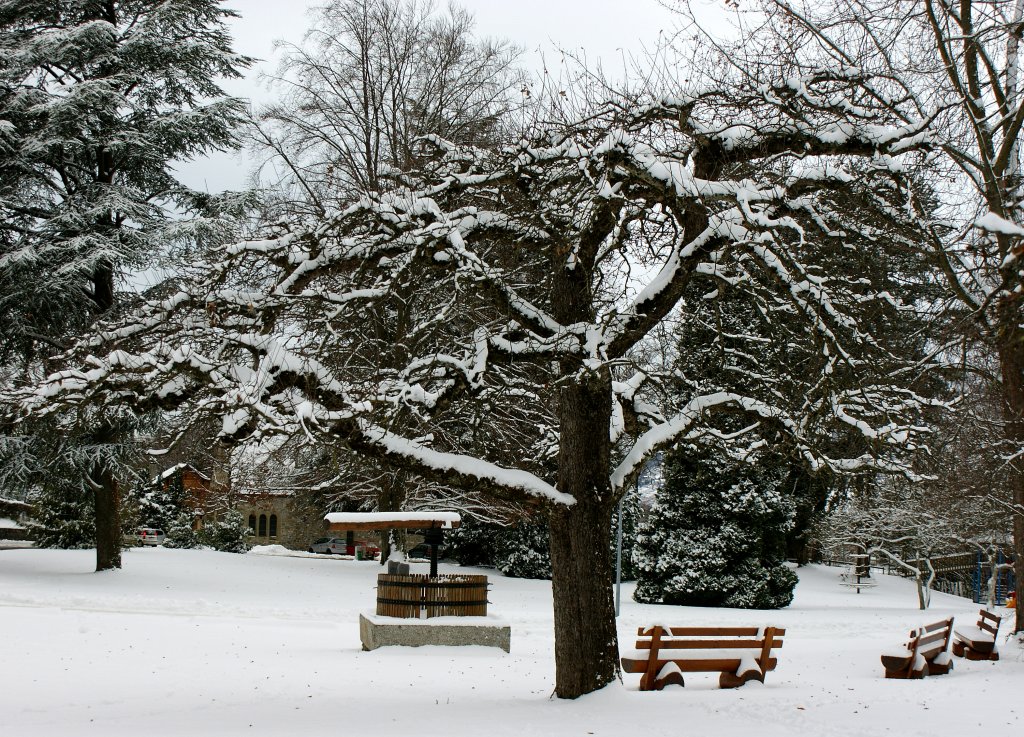 Ein Park in der Winterpause.
(17.12.2010)