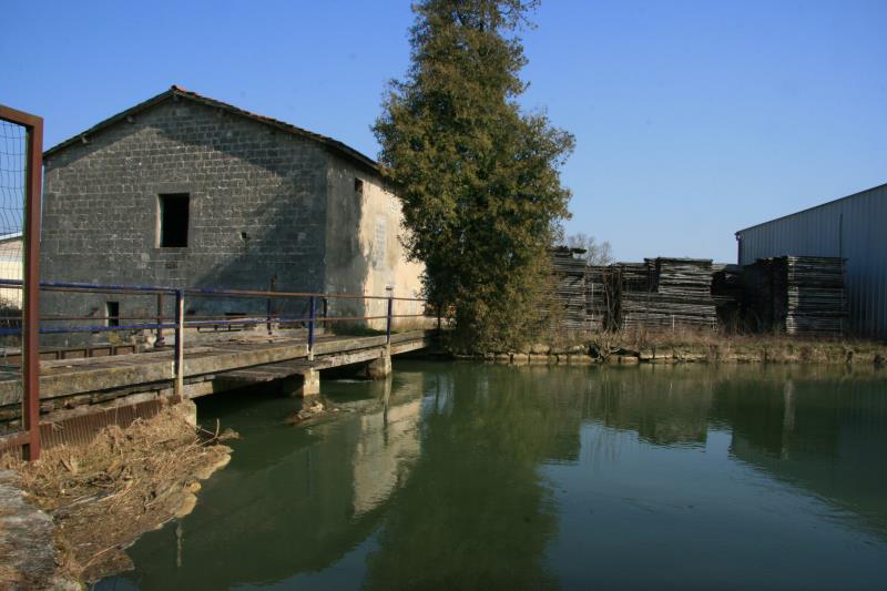 Ein Sgewerk in Tilly sur Meuse wird vom Wasser der Meuse betrieben; 25.03.2012