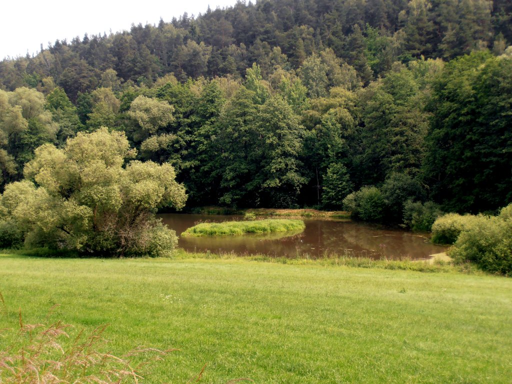 Ein Teich nhe Zeulenroda Mrien. Foto 20.06.2012