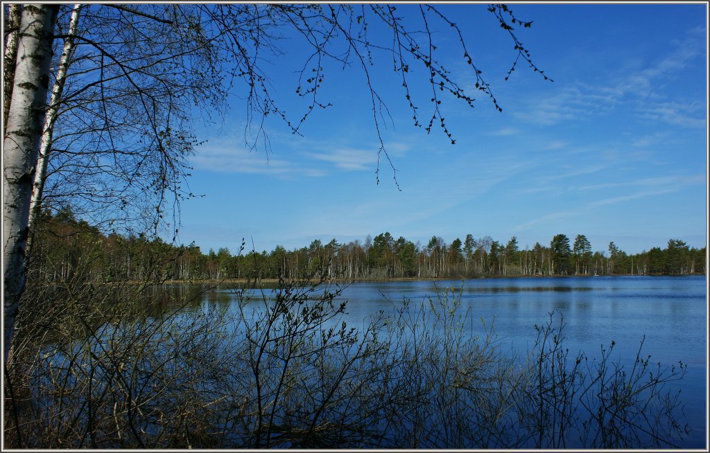 Ein Waldsee im Naturschutzgebiet Linde Raba.
(04.05.2012)