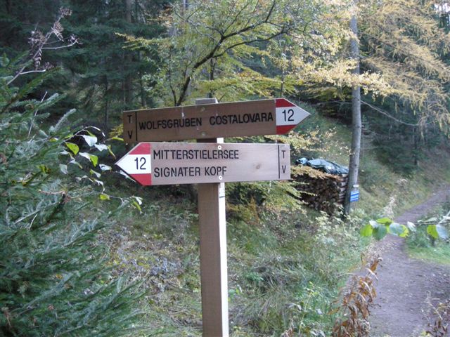Ein Wegweiser auf einem Wanderweg am Ritten.Der eine Weg fhrt in den Ort Wolfsgruben,der andere zum See.(30.10.2011)