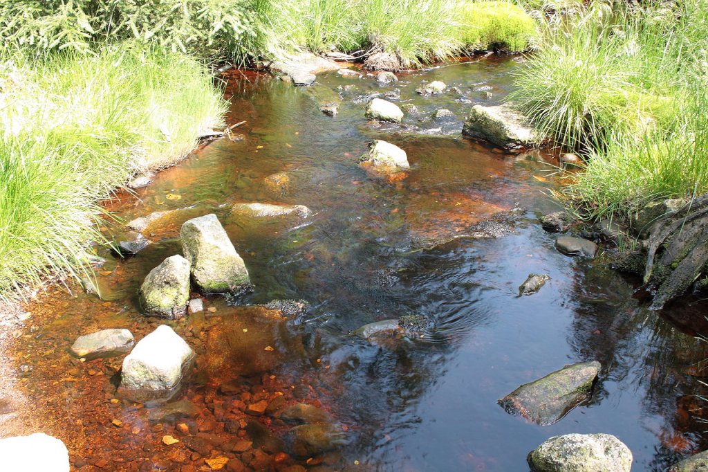 Ein Wildbach in der Nhe des Oderteichs im Nationalpark Harz; Aufnahme am Nachmittag des 30.06.2012 vom  Mrchenweg  zwischen Torfhaus und dem Oderteich.