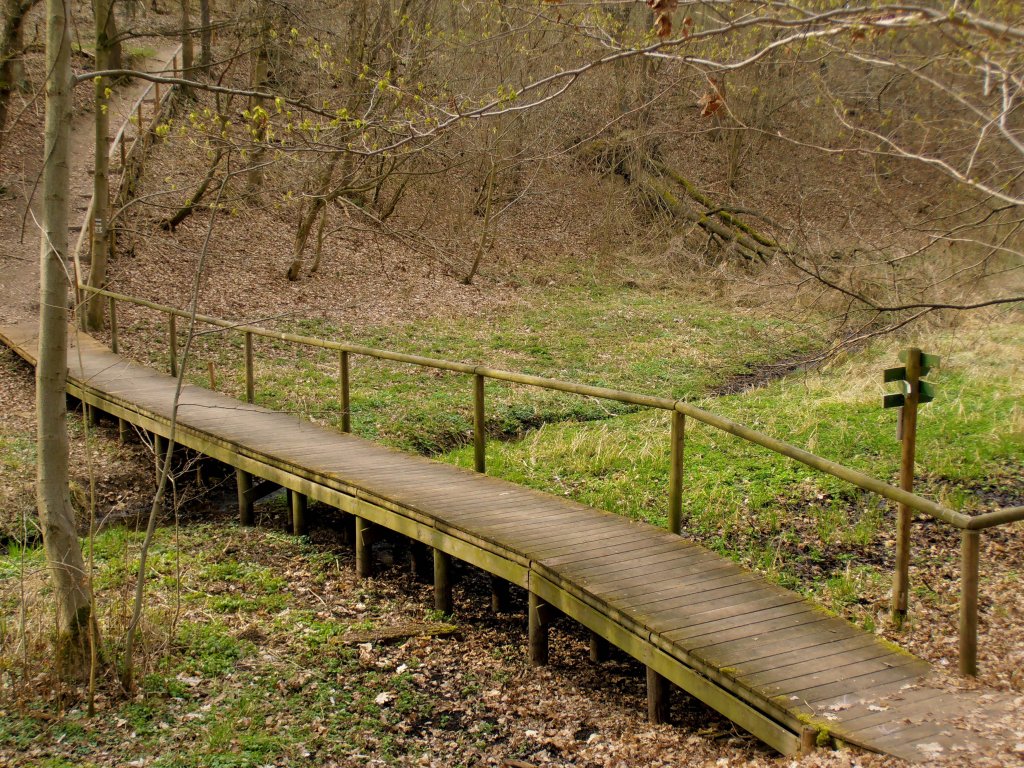 Eine Brcke nhe Talsperre Zeulenroda. Foto 08.04.12