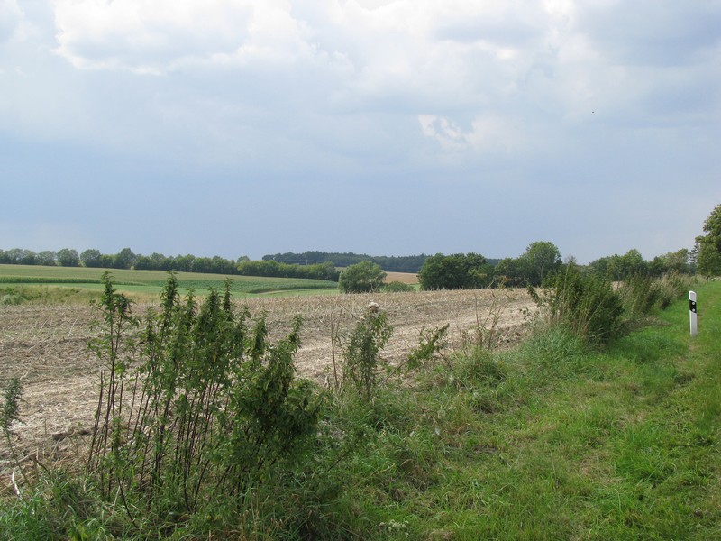 eine dunkele Wolkenwand zieht ber eine mecklenburgische Landschaft im Landkreis Nordwestmecklenburg, 09.08.2009