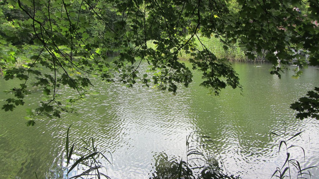 Eine kleine Seebucht mit Wellen, die durch den Wind ausgelst wurden, am 22.7.2012 bei Brixlegg.