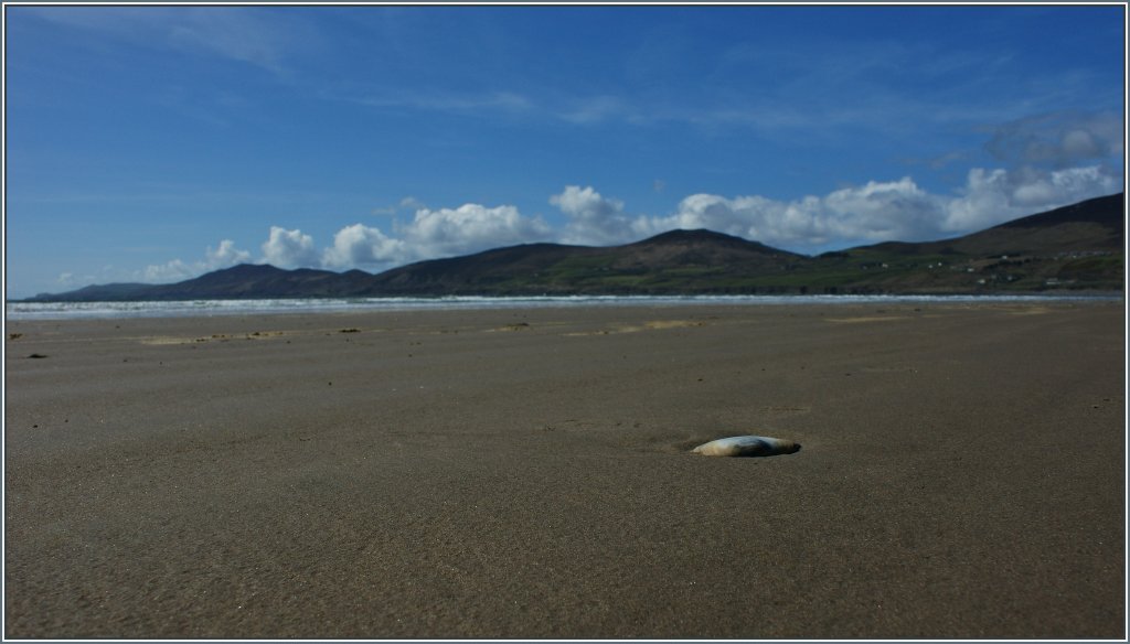 Eine Muschel allein am Strand.
(19.04.2013)