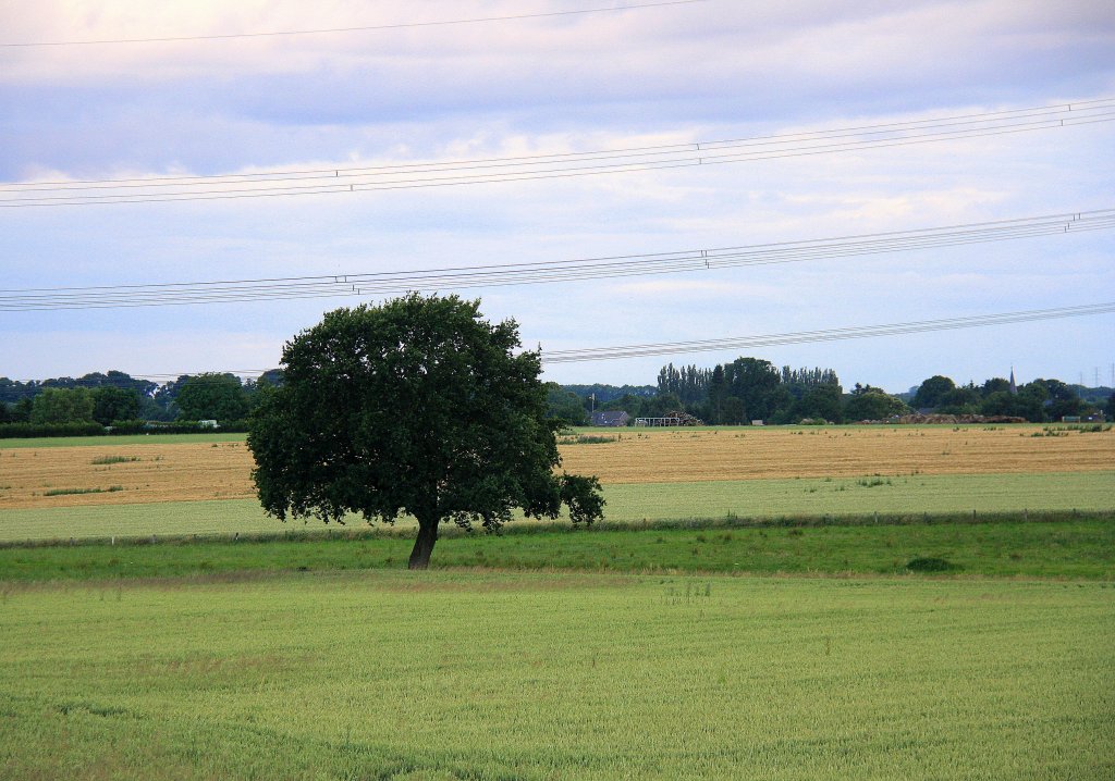 Eine Schne Landschaft in Kohlscheid-Bank am 7.7.2012.