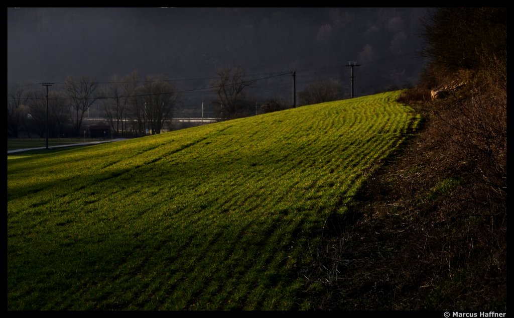 Eine Wiese bei Abendstimmung... Das Bild entstand am 14. Mrz 2012.