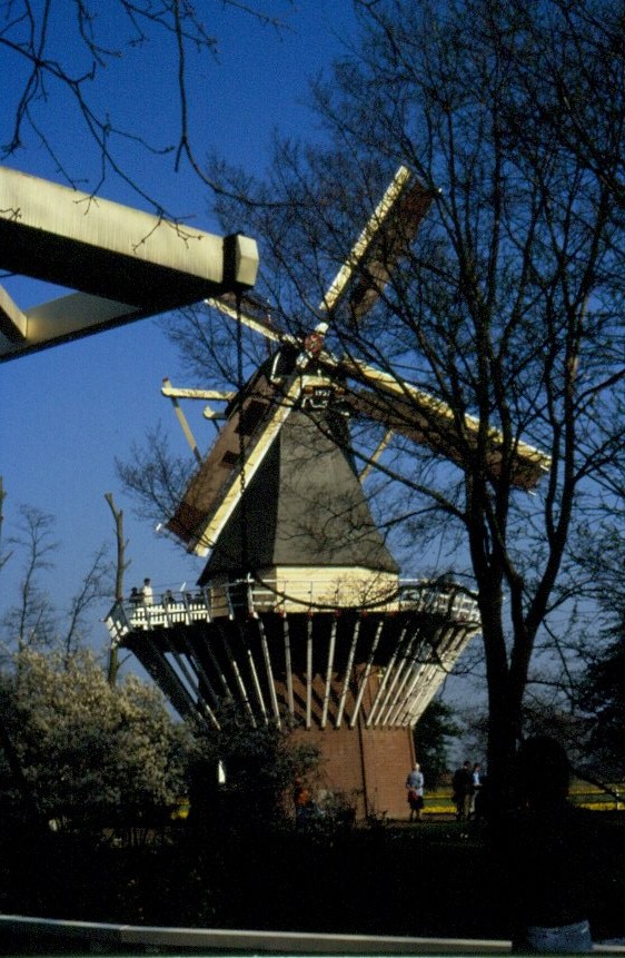 Eine Windmhle im Keukenhof. Tulpenblte 1990