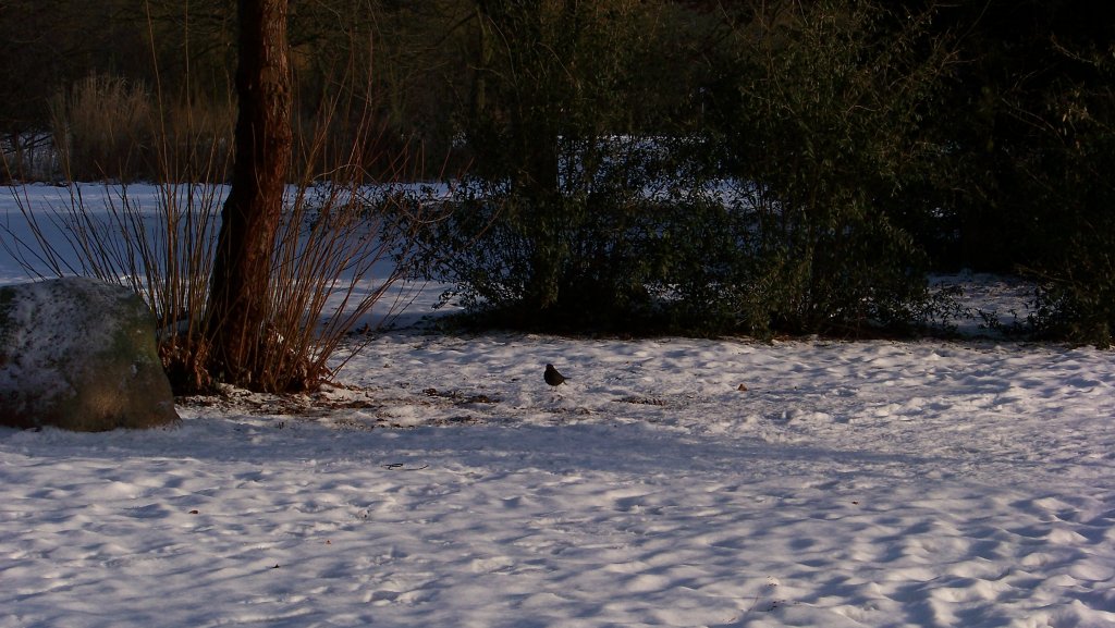 Eine Winteraufaufnahme von 2010 in Lehrte.