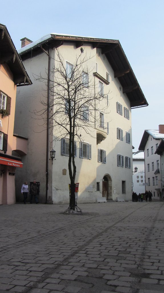 Einsam und alleine wartet dieser Ahorn in Kitzbhel auf den Frhling.(4.3.2012)